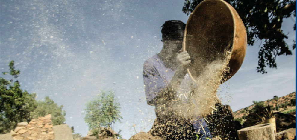 Poverty Eradication: Access to Land, Access to Food