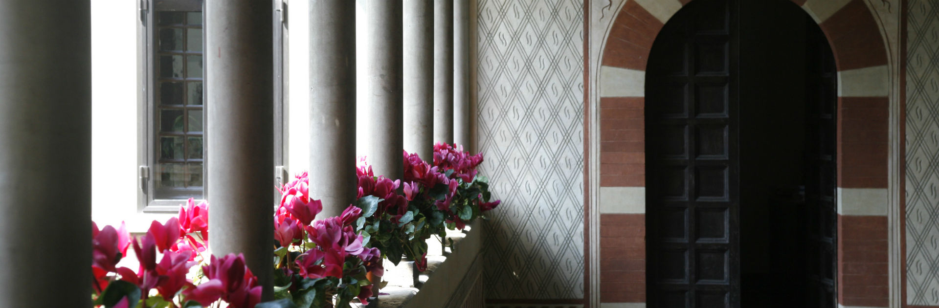 header-image
